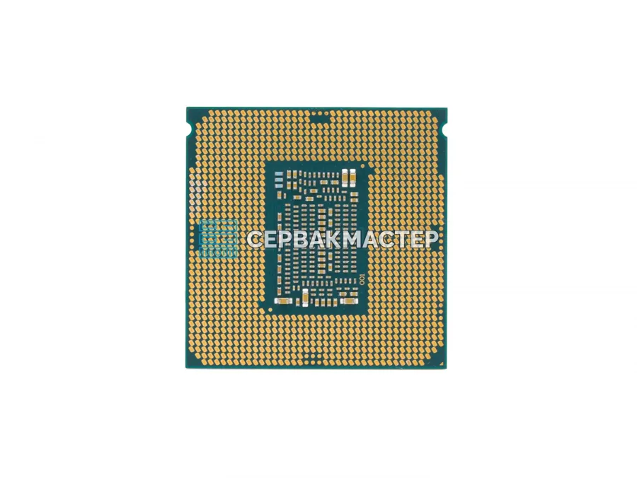Intel Xeon E-2186G (6c/12t, 3.8-4.7 GHz, 95W, LGA1151v2) — купить в СервакМастер