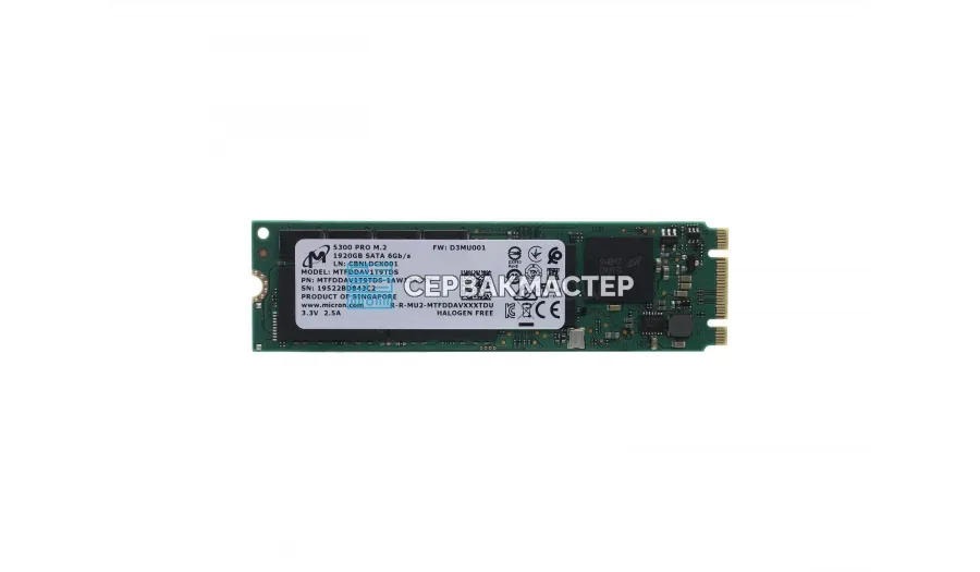 SSD-накопитель Micron 5300 MAX 240GB 2.5" 6Gb/s [MTFDDAK240TDT-1AW1ZABLA]