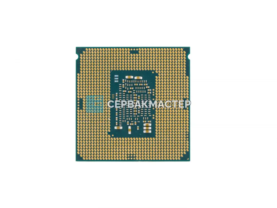 Intel Xeon E3-1270v5 (4c/8t, 3.6-4.0 GHz, LGA1151, 80W) — купить в СервакМастер