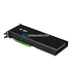 Ускоритель ИИ-вычислений Haiguang DCU K100 AI 64GB HBM2 (PCIe Gen4 x16) — купить в СервакМастер