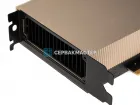 Видеокарта NVIDIA A100 OEM 80GB HBM2e [900-21001-0000-000]