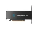 Видеокарта NVIDIA RTX PRO 2000 Blackwell 16GB GDDR7 [900-5G195-2250-000]